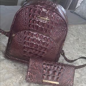 Brahmin Dartmouth Mini Melbourne & matching wallet
